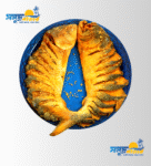 নোনা বড় ইলিশ