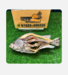 প্রিমিয়াম দেশি দাতিনা কোরাল শুঁটকি – Shomudro Bazar